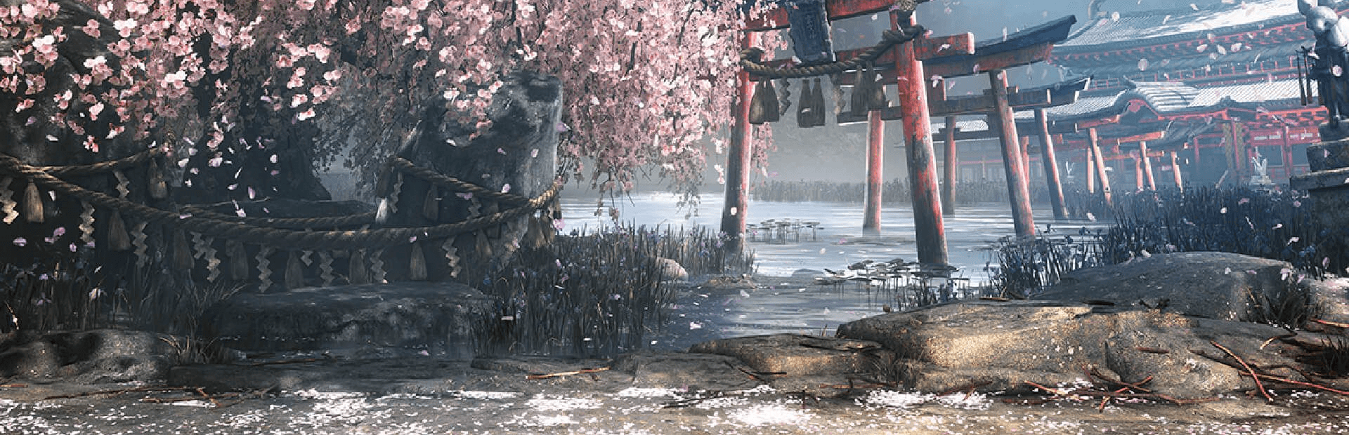 Street Fighter 6 hero