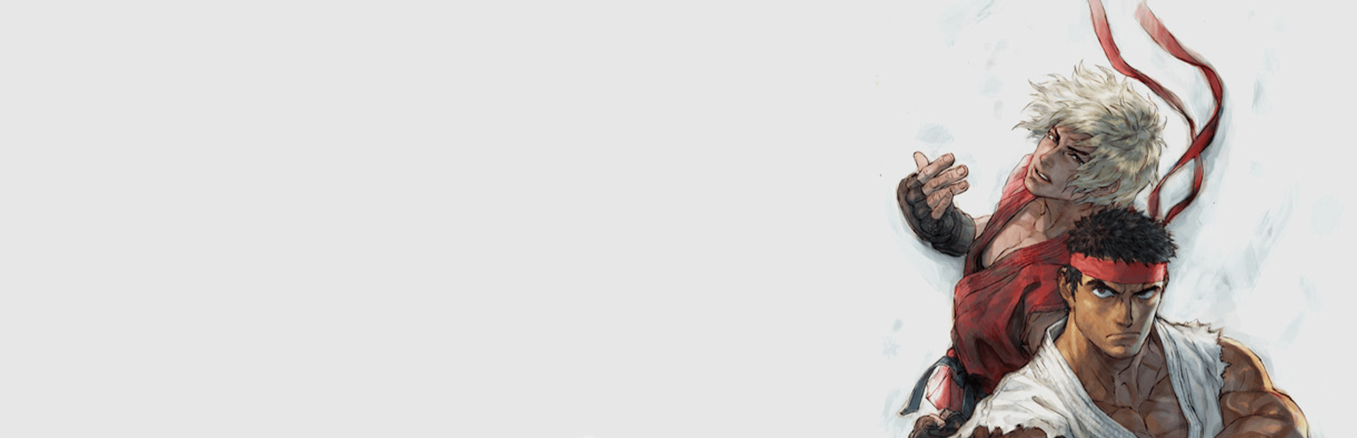 Street Fighter IV hero